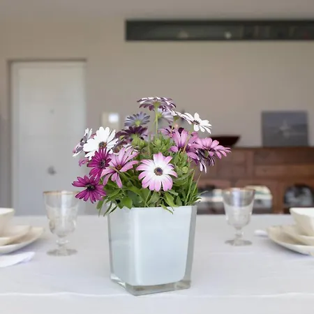 Homestay Stunning Private Loft Marbella